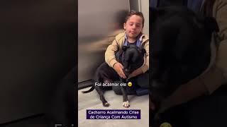 Cachorro Acalmando Crise de Criança Com Autismo [upl. by Pamela335]