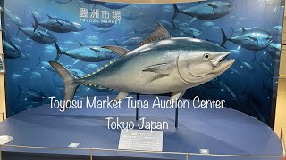 Toyosu Market Tuna Auction Center Tokyo Japan 2024 0215 [upl. by Elem763]