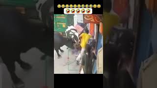 O Tera cytshorts funny trending punjabisong followforfollowback follow viralvideo comment [upl. by Edmee287]