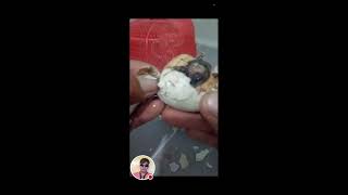 nognog baloga mixvlog is liveDuck egg balot balot satisfying asmr live [upl. by Niffirg569]