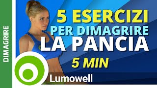 5 Esercizi che Bruciano il Grasso Addominale  Allenamento Pancia Piatta [upl. by Nikolas]