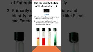 Quiz10  Biochemical test for identification of bacteria  shorts microbiology [upl. by Fabiolas]