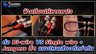 ฟังเทียบให้หายคาใจ ต่อ Bi wire VS Single wire  Jumpers ดีๆ แบบไหนเสียงดีกว่ากัน [upl. by Pandolfi398]