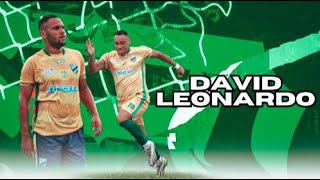 DAVID LEONARDO  ATACANTE  STRICKER  Skills Gols  2024 [upl. by Ahsinhoj]