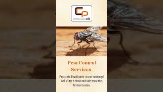 Diwali Pest Control in Chennai 🏡  Say Goodbye to Pests with Crystal Clear Pro pestcontrol [upl. by Ytisahcal728]