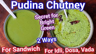 Multipurpose Pudina Chutney  Mint Chatni 2 Ways  Pudina Ki Chatni for Sandwich Idli Dosa amp Rice [upl. by Yesac]