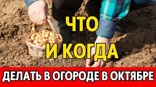 Сажаем ПОД ЗИМУ Лунный календарь огородника и садовода на ОКТЯБРЬ 2023 [upl. by Aneetsirhc]