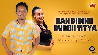 Mulualem Kabeta Nan Didinii Dubbii Tiyya Mash Up Music The Legend Artist Ebisa Adugna [upl. by Nnyllaf]