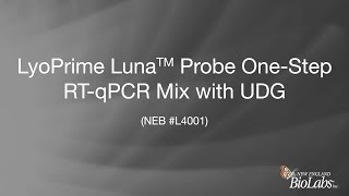 LyoPrime Luna™ Probe OneStep RTqPCR Mix with UDG [upl. by Nomolos411]