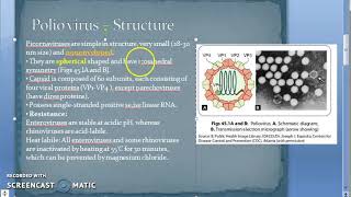 Microbiology 494 a Polio Virus PicoRNAVirus Structure [upl. by Dianthe]