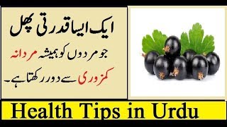 Benefits of Black Currants for Health in Urdu [upl. by Anerom]