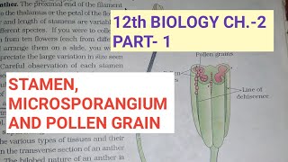 Class 12 biology chapter2 Part1 sexual rep in flower plantsStamensStudy with Farru [upl. by Marcille]