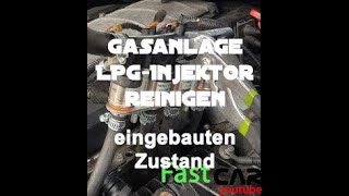 LPG Gasinjektoren reinigen  Gasanlage ohne Funktion  Injektoren eingebaut reinigen ANLEITUNG [upl. by Chansoo189]