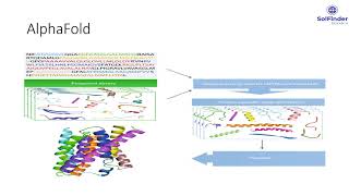 Protein Folding AlphaFold [upl. by Alaet]