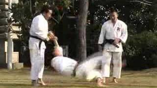 Grand Master Shorinji Kenpo demonstration [upl. by Acilejna902]