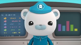 THE OCTONAUTS SERIES 5 THE GHOST SHIP CREATURE REPORT ENGLISH  The BIG Octonauts Channel [upl. by Rives]