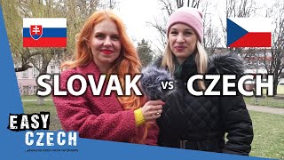 Differences Between Czech and Slovak  Easy Czech 25 [upl. by Ynaffet]