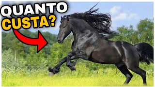 7 Cavalos mais Caros do Mundo [upl. by Viola]