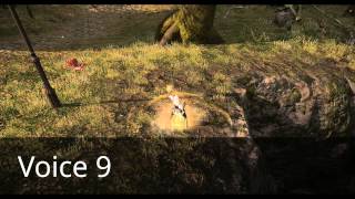 FFXIVARR Combat Voices  Female Hyur Midlander 610 [upl. by Yrtsed765]