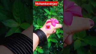 mohamkondnjan ethoMenakaSheshamkazhichayiljaychandaran S janakiLittystephen [upl. by Abott]