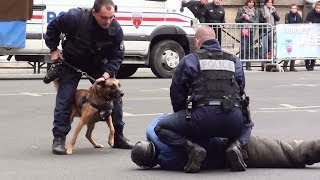 La Brigade Cynophile de la Préfecture de Police de Paris [upl. by Annaeerb122]