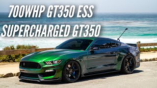 HARD PULLS IN MY SUPERCHARGED GT350 [upl. by Nylakcaj]