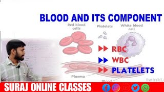 Blood and Its Component ll Function of Blood ll RBC ll WBC ll Blood Platelets ll What is Blood ll [upl. by Adam]