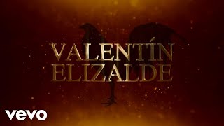 Valentin Elizalde  Ebrio De Amor En Vivo [upl. by Nellir]