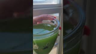 Drink this on an empty stomach celery digestion [upl. by August]