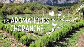 Les Aromatiques de Choranche  PPAM Plantes à Parfum Aromatiques et Médicinales en bio [upl. by Kornher]