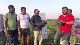 Seminis Dilkash amp Khaas Watermelon Hazaribagh [upl. by Ide]