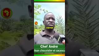 La Culture du Cacao au burkinafaso Un Avenir Prometteur ibrahimtraoré [upl. by Avin]