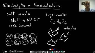 Chapter 4 Electrolytes and Nonelectrolytes  CHM 103  049 [upl. by Fina880]