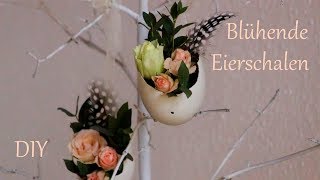 DIY  Blühende Eierschalen  Osterdeko  Just Deko [upl. by Ennazor]