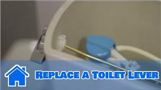 Plumbing Advice  How to Replace a Toilet Lever [upl. by Irrehc]