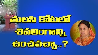 Vijayamargam  తులసి కోటాలో శివలింగం ఉంచవచ్చా  Unknown Facts in Telugu Culture and Tradition [upl. by Clarabelle]