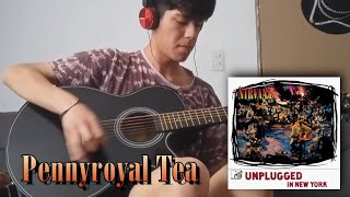 Nirvana  Pennyroyal Tea MTV Unplugged  Guitar Cover [upl. by Atirres]