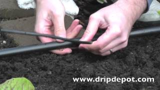 How To Install Spray Jets Into A Landscape Drip Irrigation System [upl. by Kcirdahc]