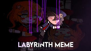 FNaF  LABYRINTH MEME  SISTER LOCATION [upl. by Ssalguod]