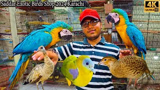 Saddar Amazing Birds and Parrots Market Karachi 2024  Macaw Parrots and Other Rare and Ground Birds [upl. by Assereht624]