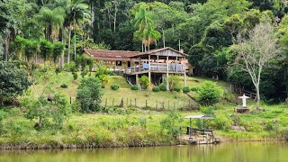 Lindo Sítio No Sul De Minas Gerais A Venda [upl. by Dareen]