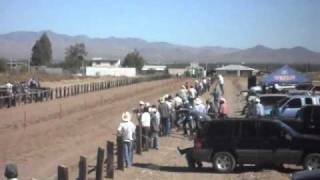 carreras de caballos en casas grandes chihuahua [upl. by Alset880]