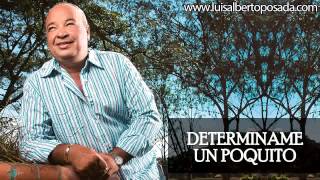 Luis Alberto Posada  Determiname Un Poquito Audio Oficial [upl. by Aneled481]