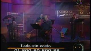 Oscar Chavez Macondo en vivo Animal Nocturno [upl. by Yaron]