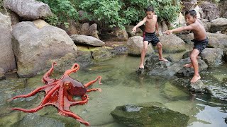 Wilderness Food  Found Octopus at the Beach [upl. by Ahsinuq]