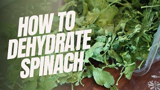 How to Dehydrate Spinach A StepbyStep Guide for Beginners Preserve Freshness and Nutrients [upl. by Selle]