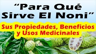 Para Que Sirve El Noni  Propiedades y Beneficios De Las Hoha y Fruta De Noni [upl. by Reppep]