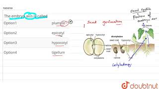 The embryo axis is called [upl. by Tristas]