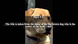 Old Yeller dog Top  5 Facts [upl. by Eetsud]