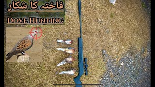 Doves hunting with air gun sr1000s air gun long range hunting [upl. by Ammon485]